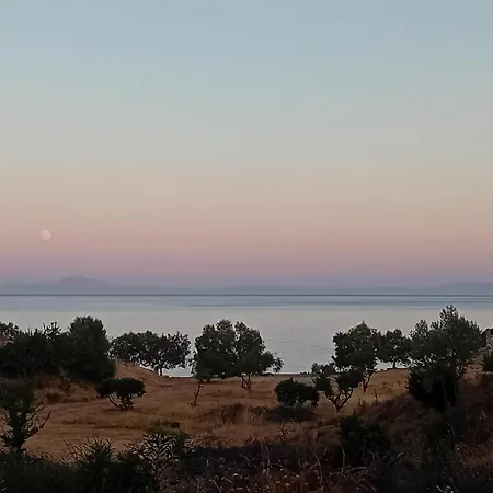 Ξενοδοχείο Ippokampos *